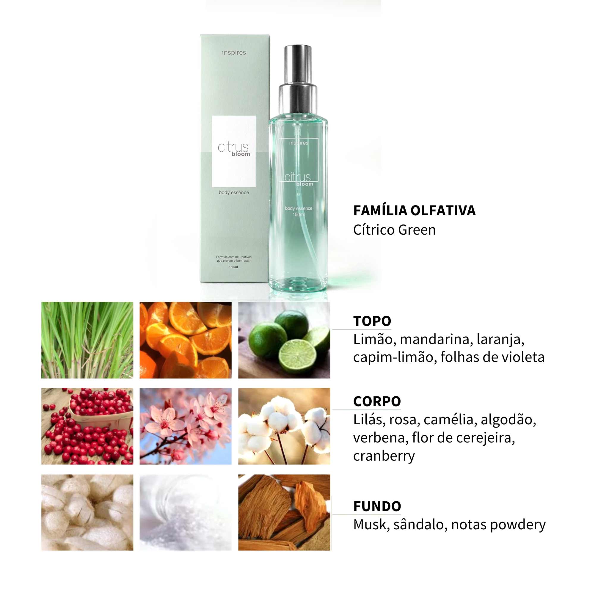 COLEÇÃO FAVORITOS 150ml | 3 BODY ESSENCES deliciosamente refrescantes, desenvolvidos com Neurociência.