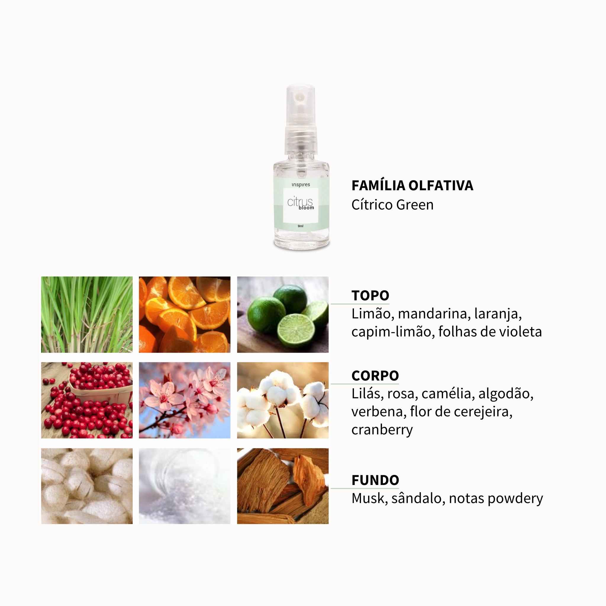 TRILOGIA GOURMAND | Body Essences de bem-estar que dão água na boca