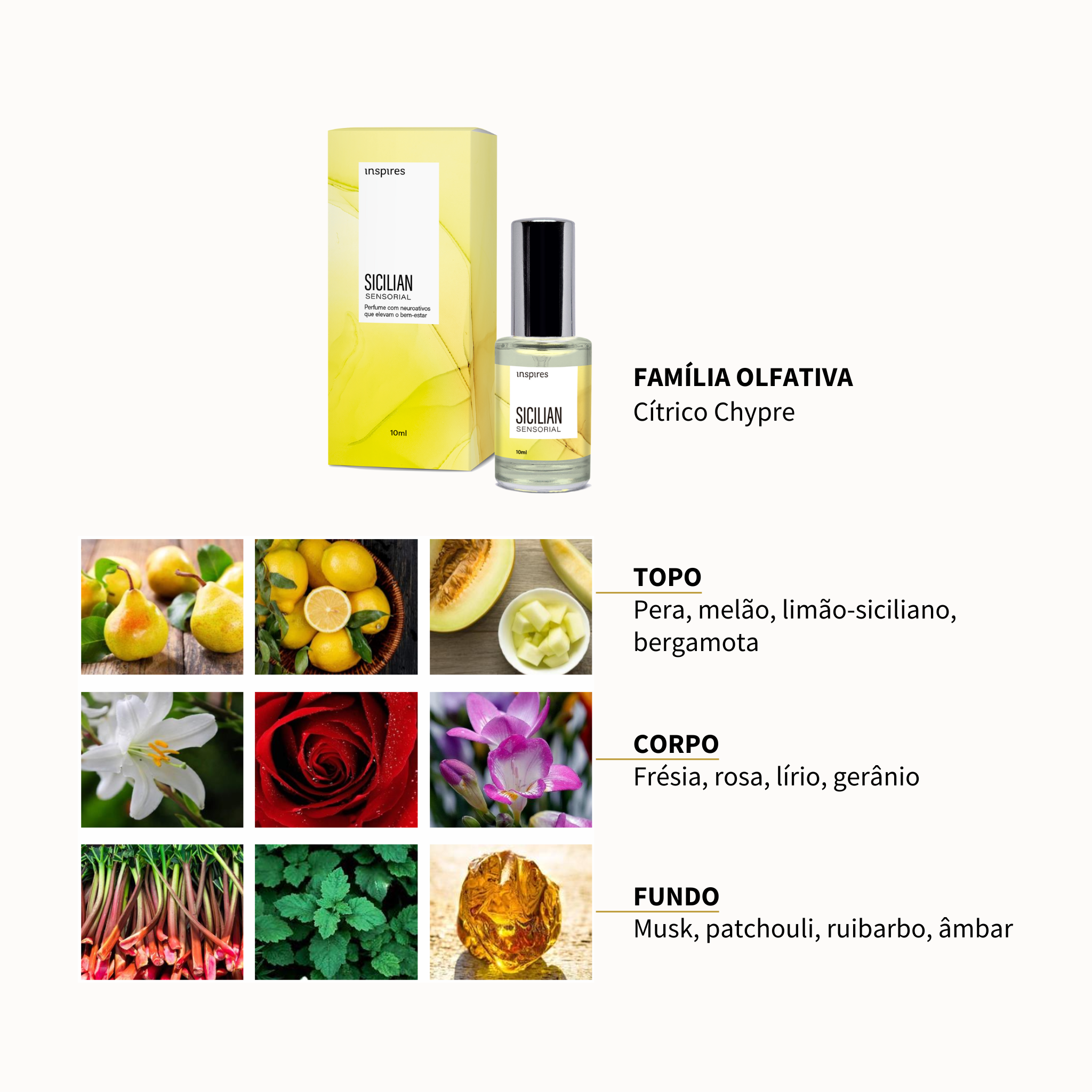 COLEÇÃO MINI SENSORIAL | Perfumes sensoriais que elevam o bem-estar