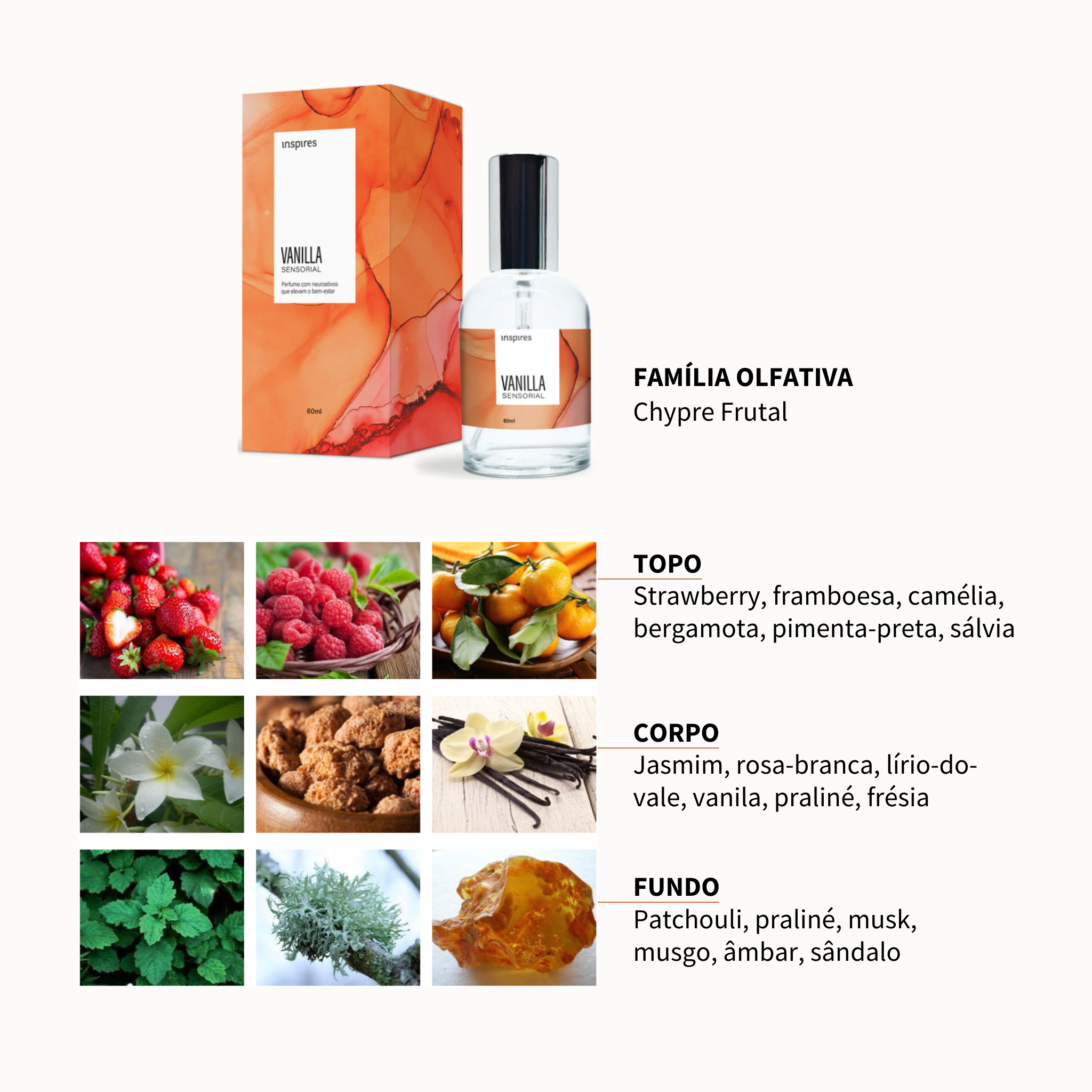 VANILLA SENSORIAL | Perfume sofisticado que envolve a pele com conforto e bem-estar