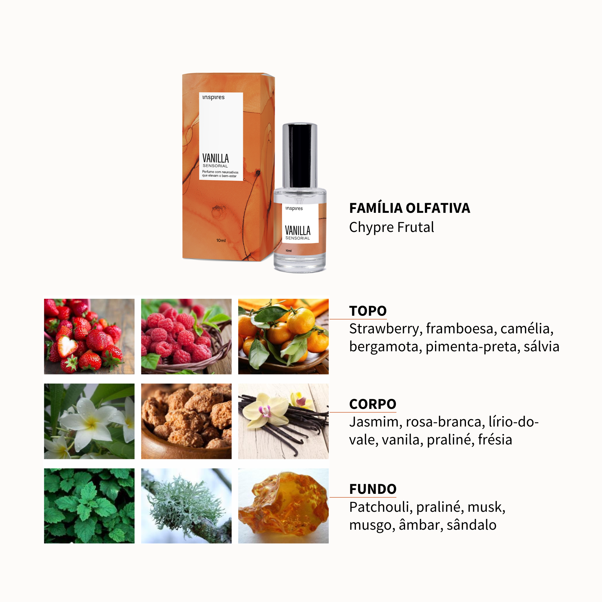 COLEÇÃO MINI SENSORIAL | Perfumes sensoriais que elevam o bem-estar