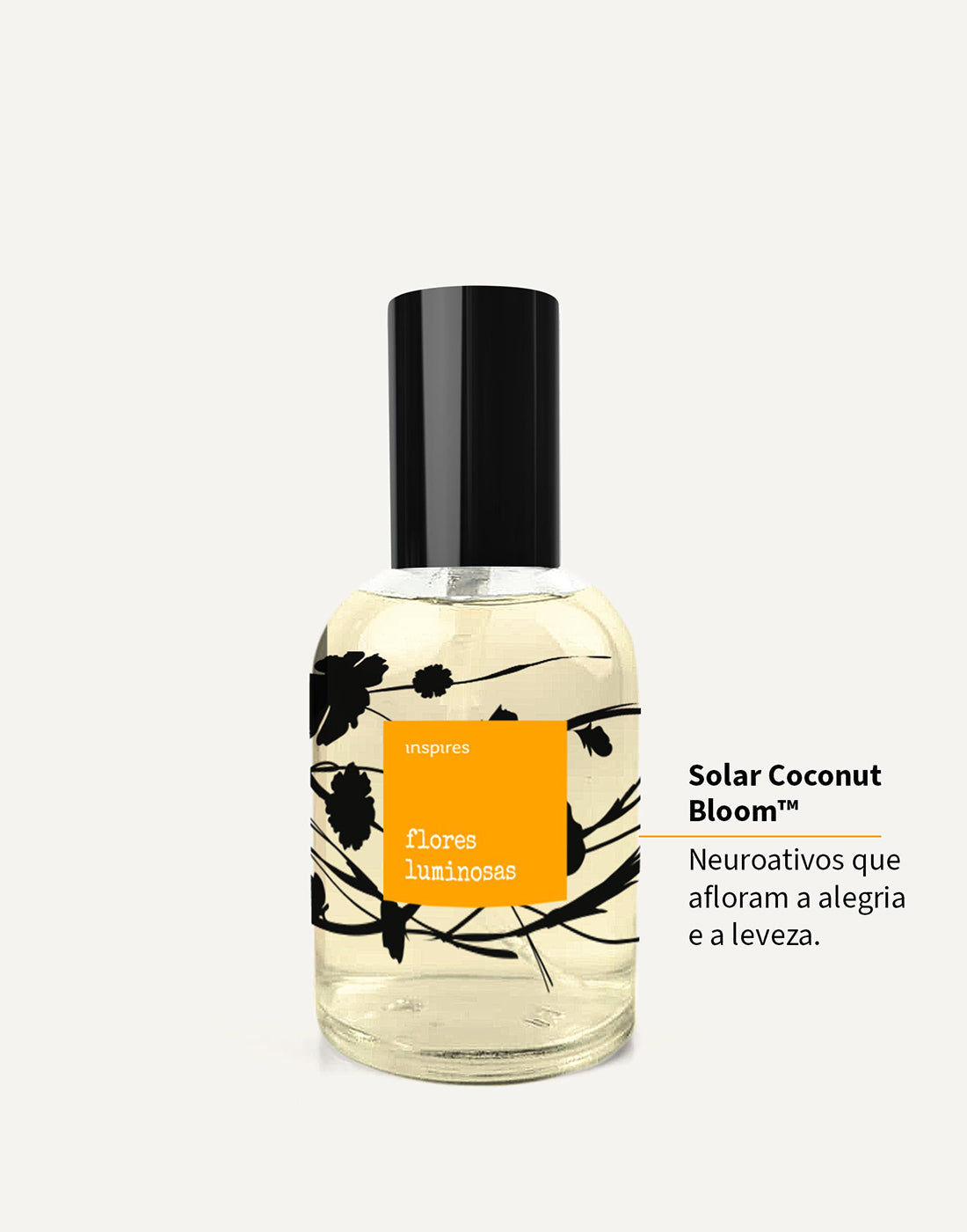 KIT COLEÇÃO FLORES POÉTICAS e LUMINOSAS |  Um jardim de emoções | Um perfume para cada momento.