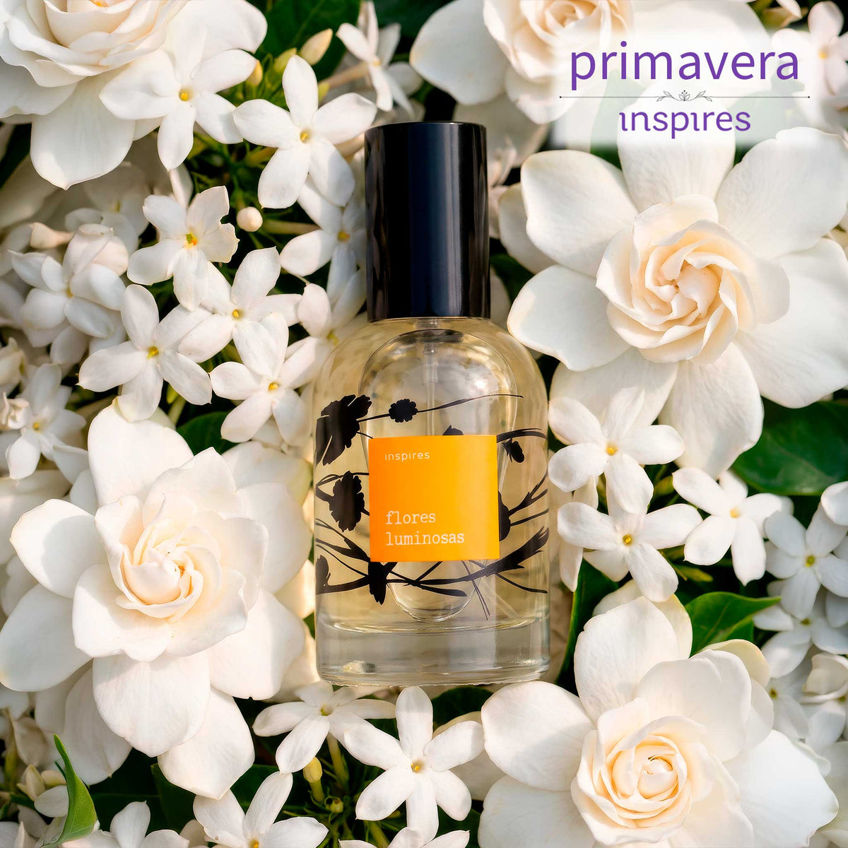FLORES POÉTICAS LUMINOSAS | Perfume Solar Floral 60 ml | Uma fragrância radiante, paradisíaca.