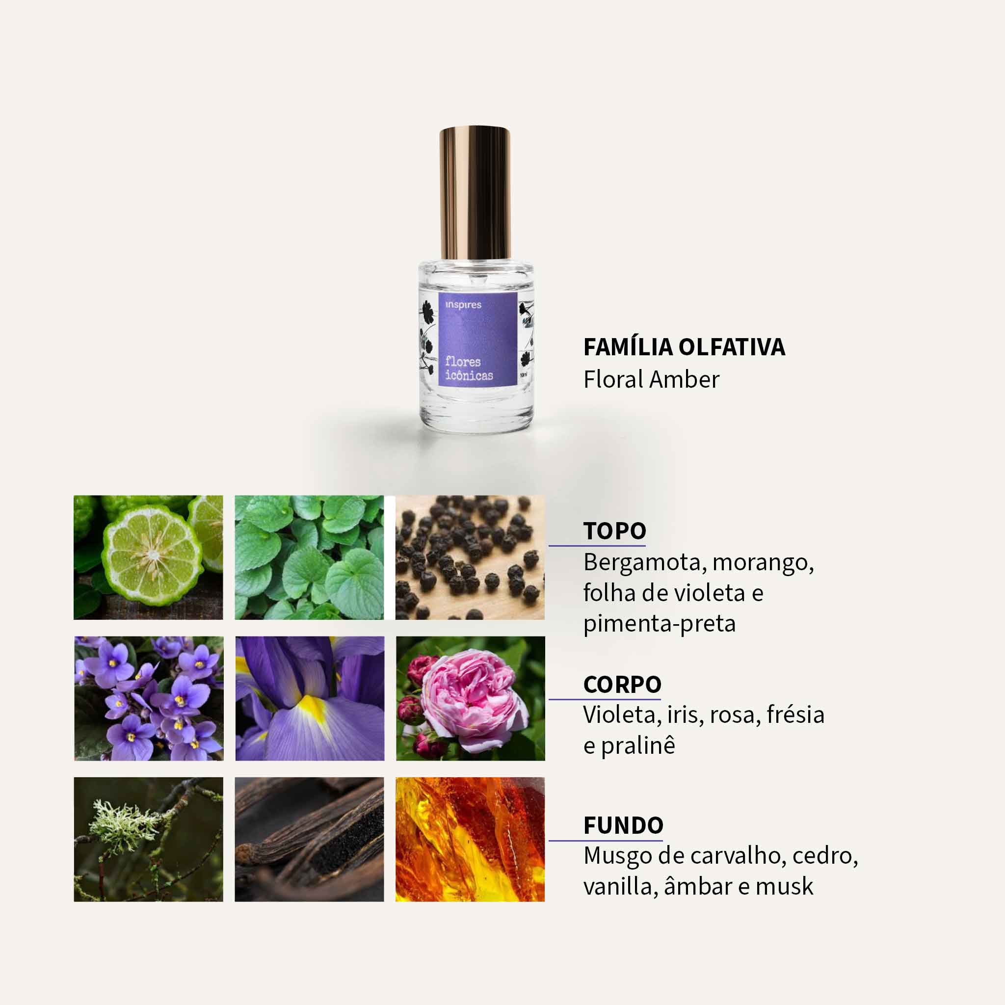 COLEÇÃO FLORES POÉTICAS |  Um jardim de emoções - 3 X 10 ML | Um perfume para cada momento