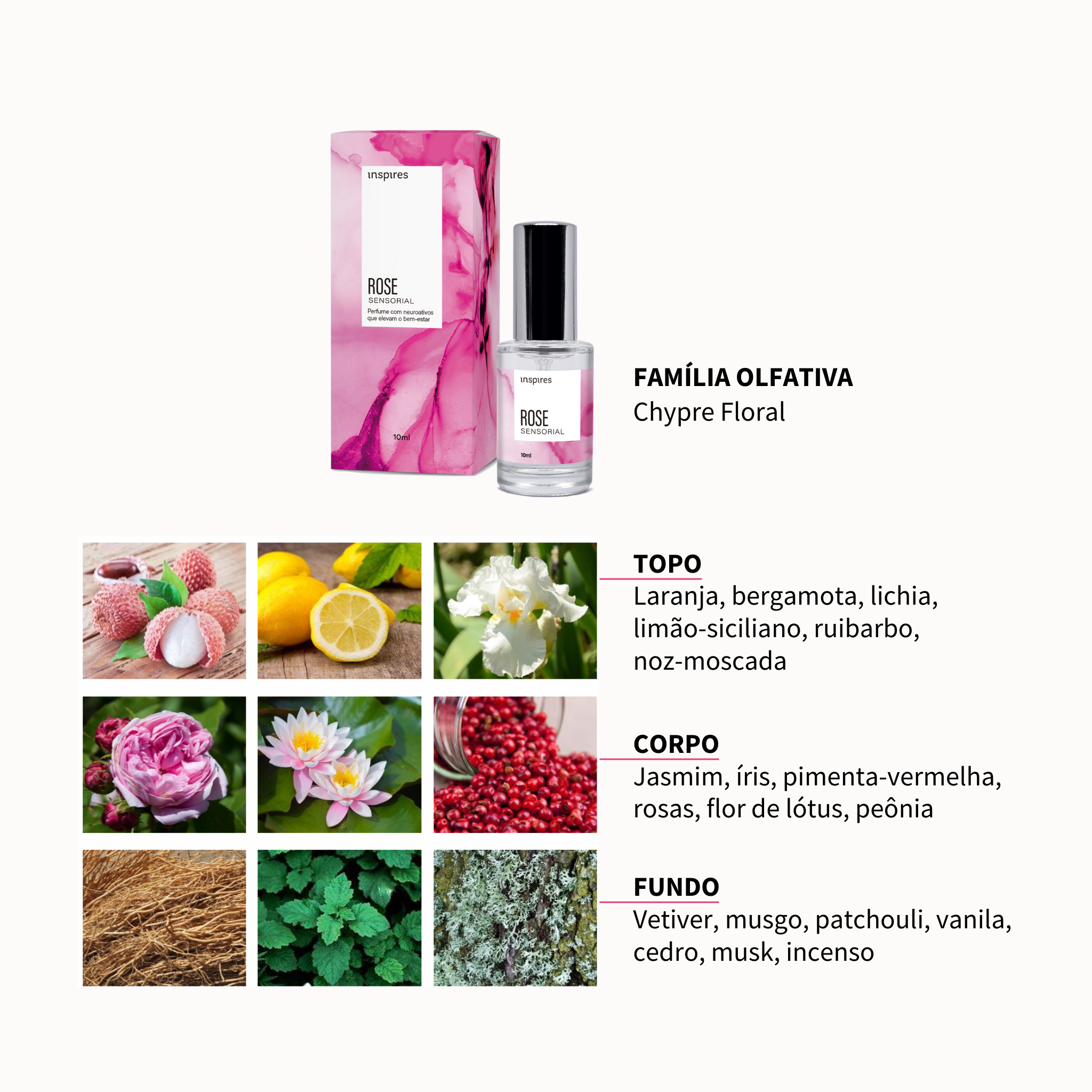 ROSE SENSORIAL | Perfume floral envolvente que aflora a presença e o bem-estar